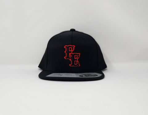 EE  Two tone snap backs