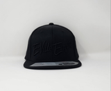 Signature series  110 snapbacks